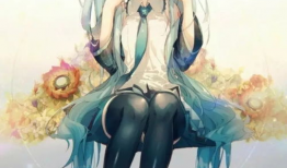 初音动漫
