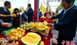 吃瓜最新事件爆料临夏,揭秘吃瓜群众最新爆料背后的真相