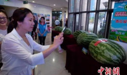 蔚县吃瓜事件最新爆料新闻,最新爆料揭露惊人内幕