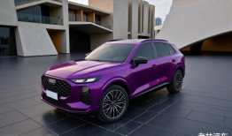 国产精品7m视频,探索视觉盛宴的极致魅力